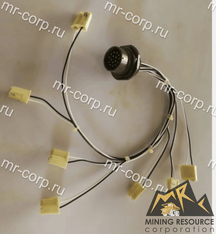 29536510 Жгут проводов