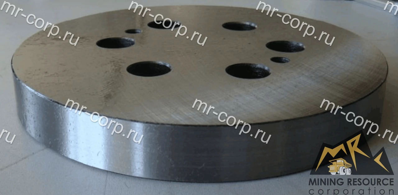 9019600 Пластина